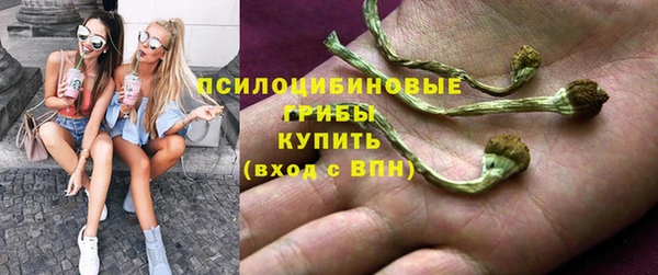 гашик Киренск