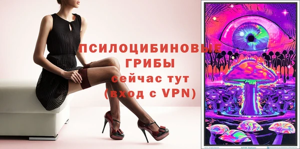 гашик Киренск
